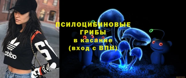 гашиш Гусь-Хрустальный