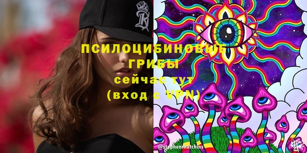 прущая мука Гусев